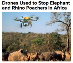 1-hLhAdWXECMyNLwrHfad6pA